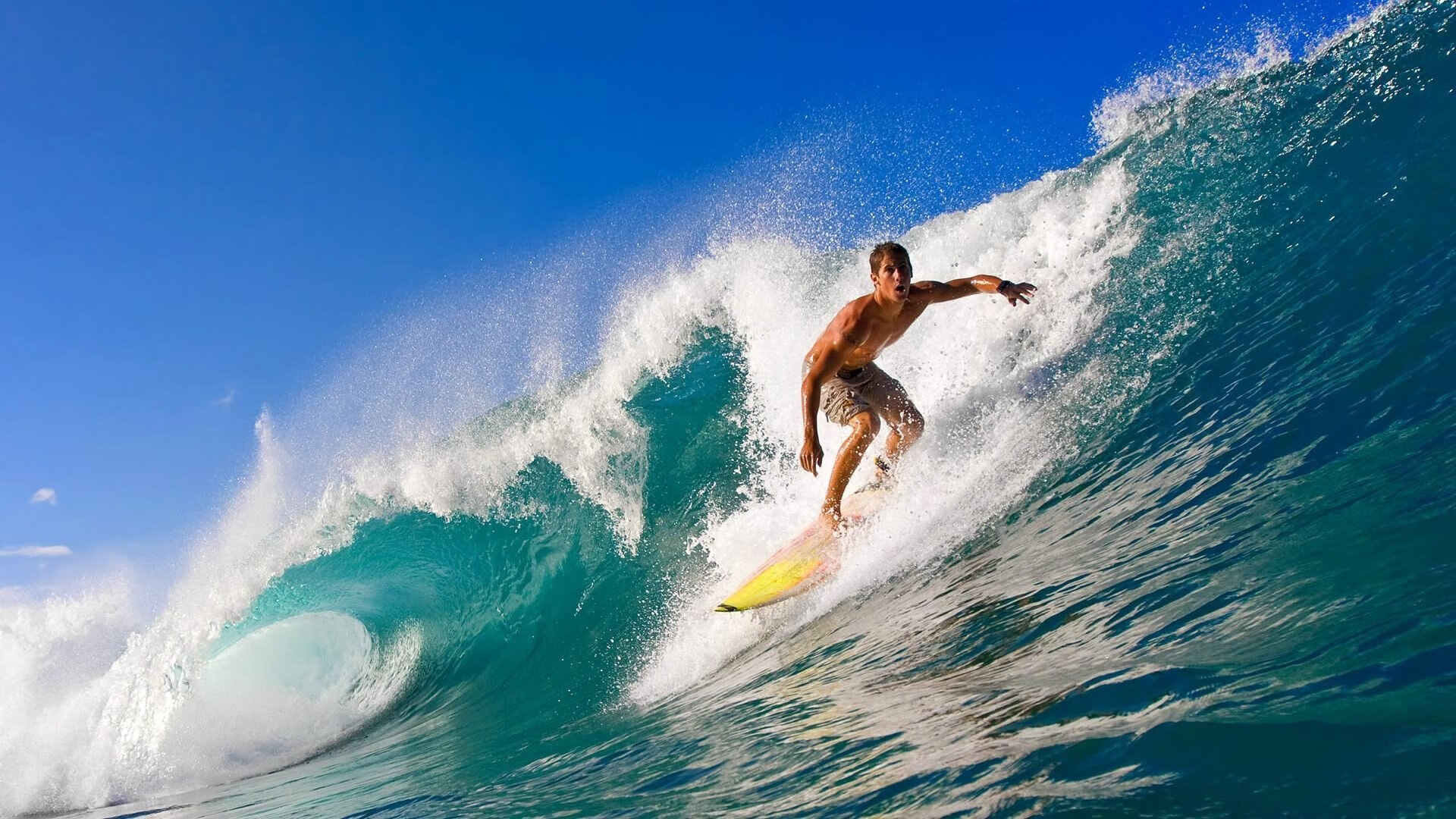 罗莎在射箭世界杯上海站女子复合弓个人赛中获得第四名，罗莎 射箭