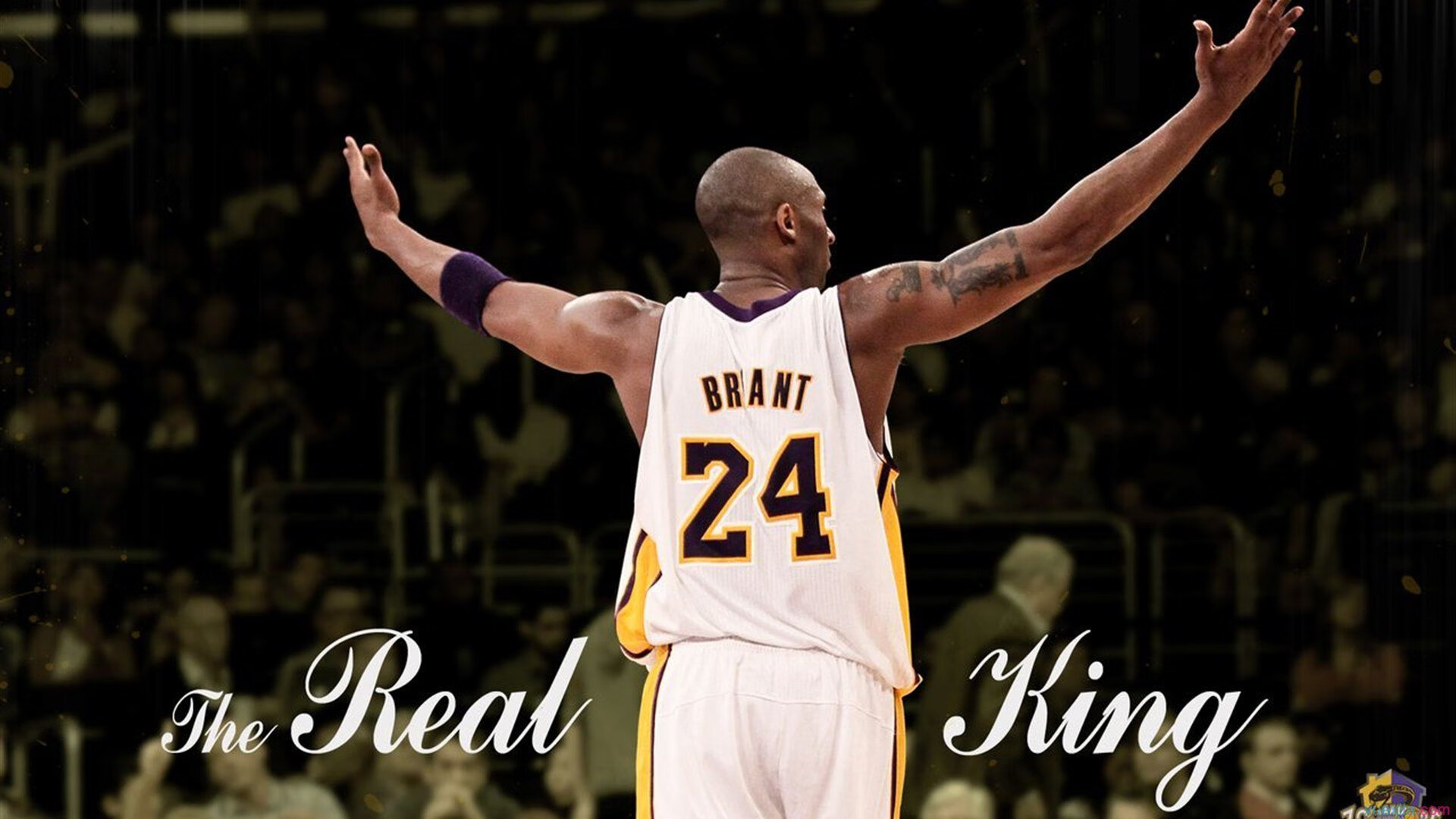 赛场上最具争议的判罚回顾，赛场上裁判错了怎么办